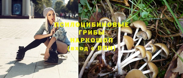герыч Снежногорск